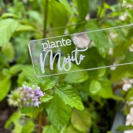Étiquette pour menthe - Plante à Mojito